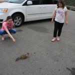 IMG_3127.JPG