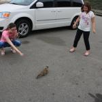 IMG_3128.JPG