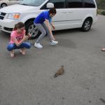 IMG_3129.JPG