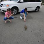 IMG_3130.JPG