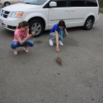 IMG_3131.JPG