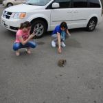 IMG_3132.JPG