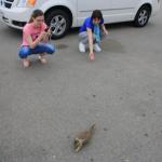 IMG_3133.JPG