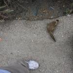 IMG_3134.JPG