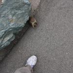 IMG_3136.JPG