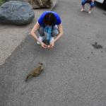 IMG_3137.JPG