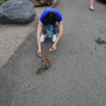IMG_3138.JPG