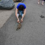 IMG_3139.JPG