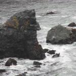 IMG_3146.JPG