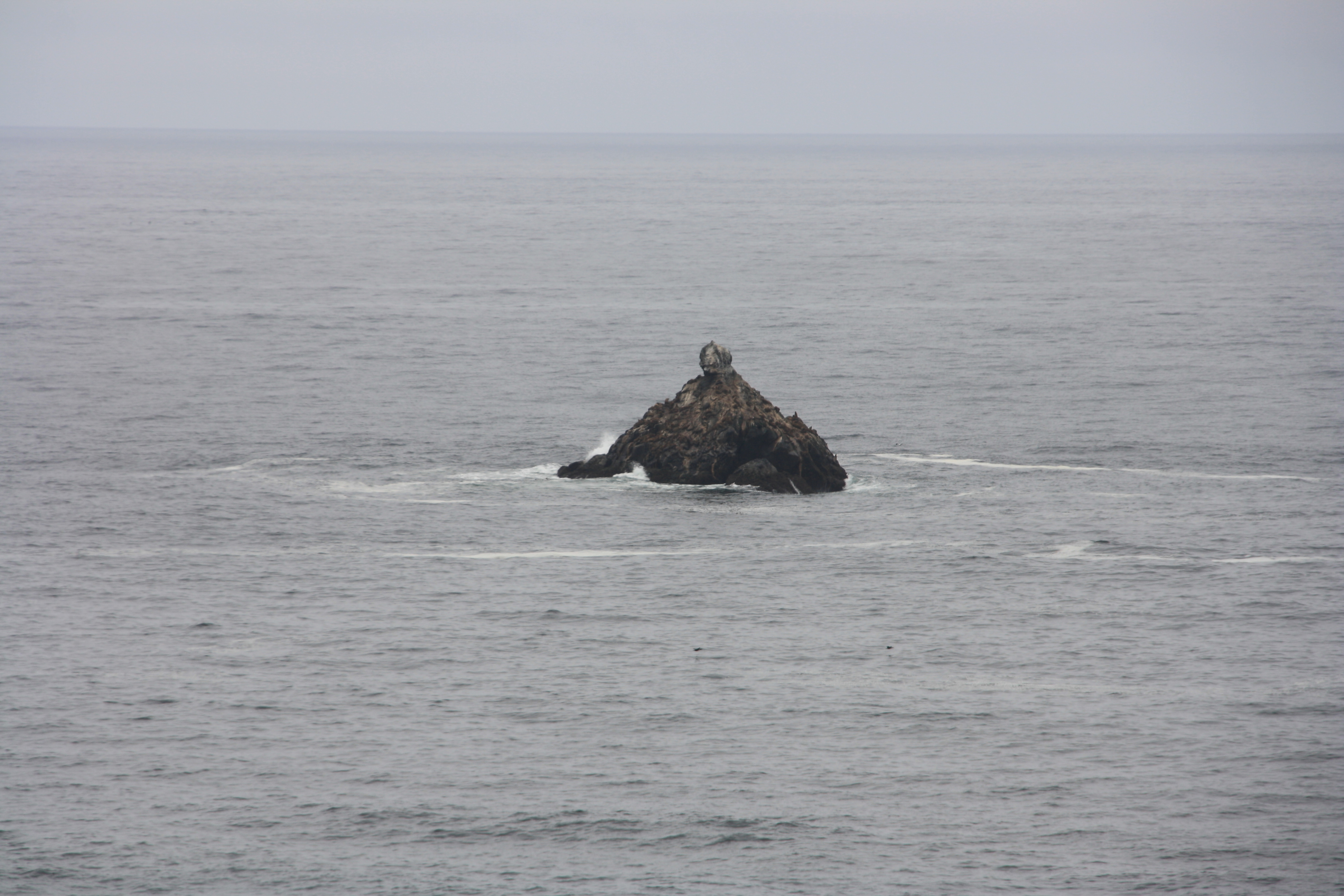 IMG_3152.JPG