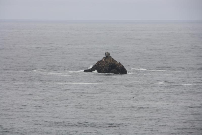 IMG_3152.JPG