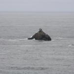IMG_3152.JPG