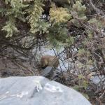 IMG_3159.JPG