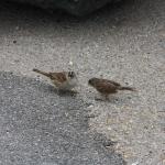 IMG_3160.JPG