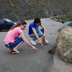 IMG_3165.JPG