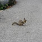 IMG_3170.JPG