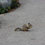 IMG_3172.JPG