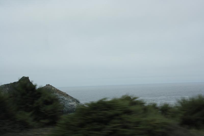 IMG_3186.JPG