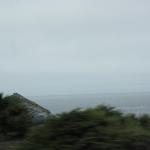 IMG_3186.JPG