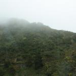 IMG_3195.JPG