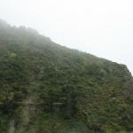 IMG_3196.JPG
