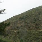 IMG_3197.JPG
