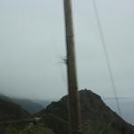 IMG_3200.JPG