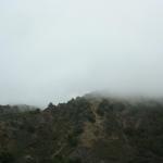IMG_3205.JPG