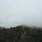 IMG_3206.JPG