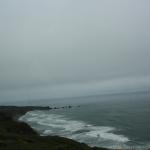 IMG_3223.JPG