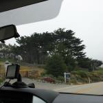 IMG_3224.JPG