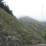 IMG_3227.JPG