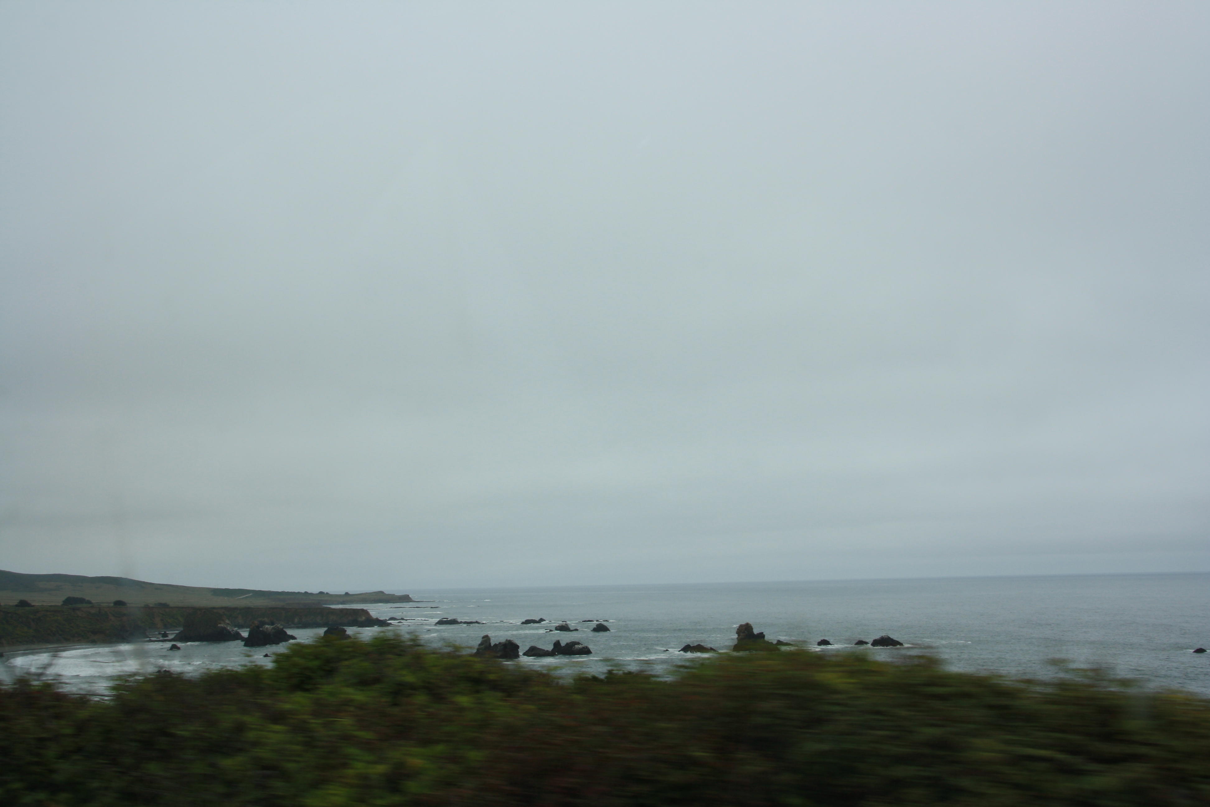 IMG_3231.JPG