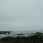 IMG_3232.JPG