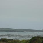 IMG_3241.JPG