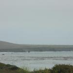 IMG_3242.JPG