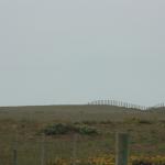 IMG_3246.JPG