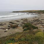 IMG_3263.JPG