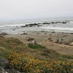 IMG_3265.JPG