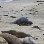 IMG_3275.JPG