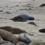 IMG_3276.JPG