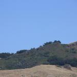 IMG_3290.JPG
