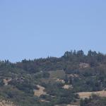 IMG_3291.JPG
