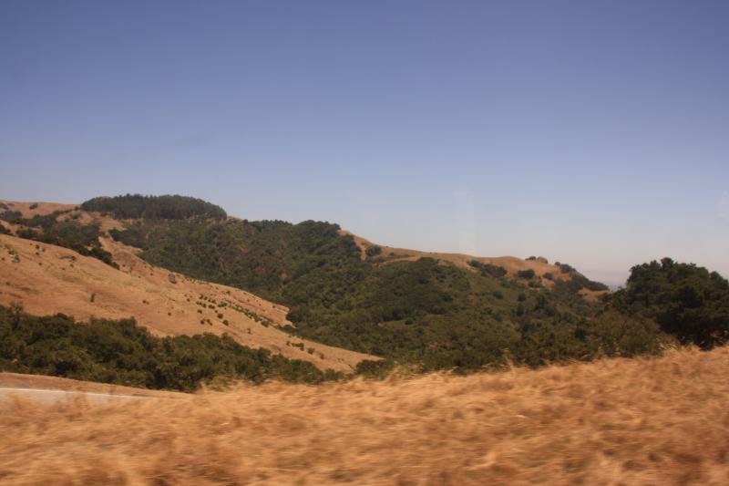 IMG_3305.JPG