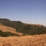 IMG_3305.JPG
