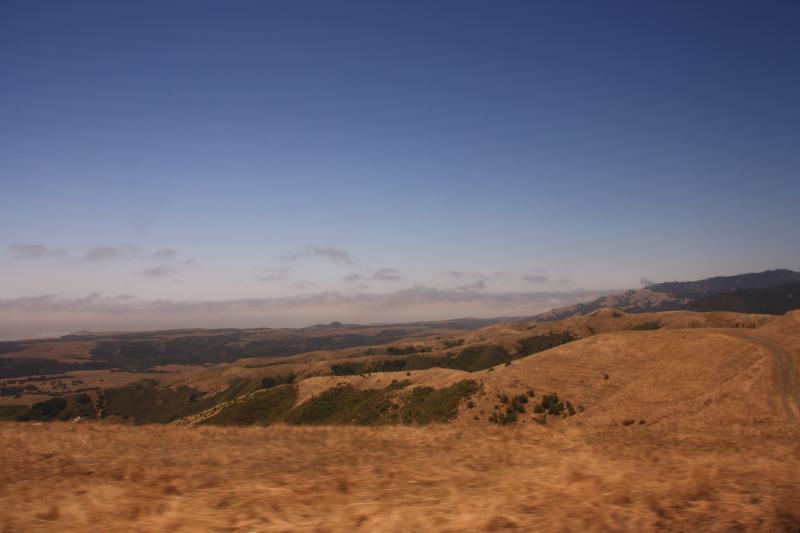 IMG_3311.JPG