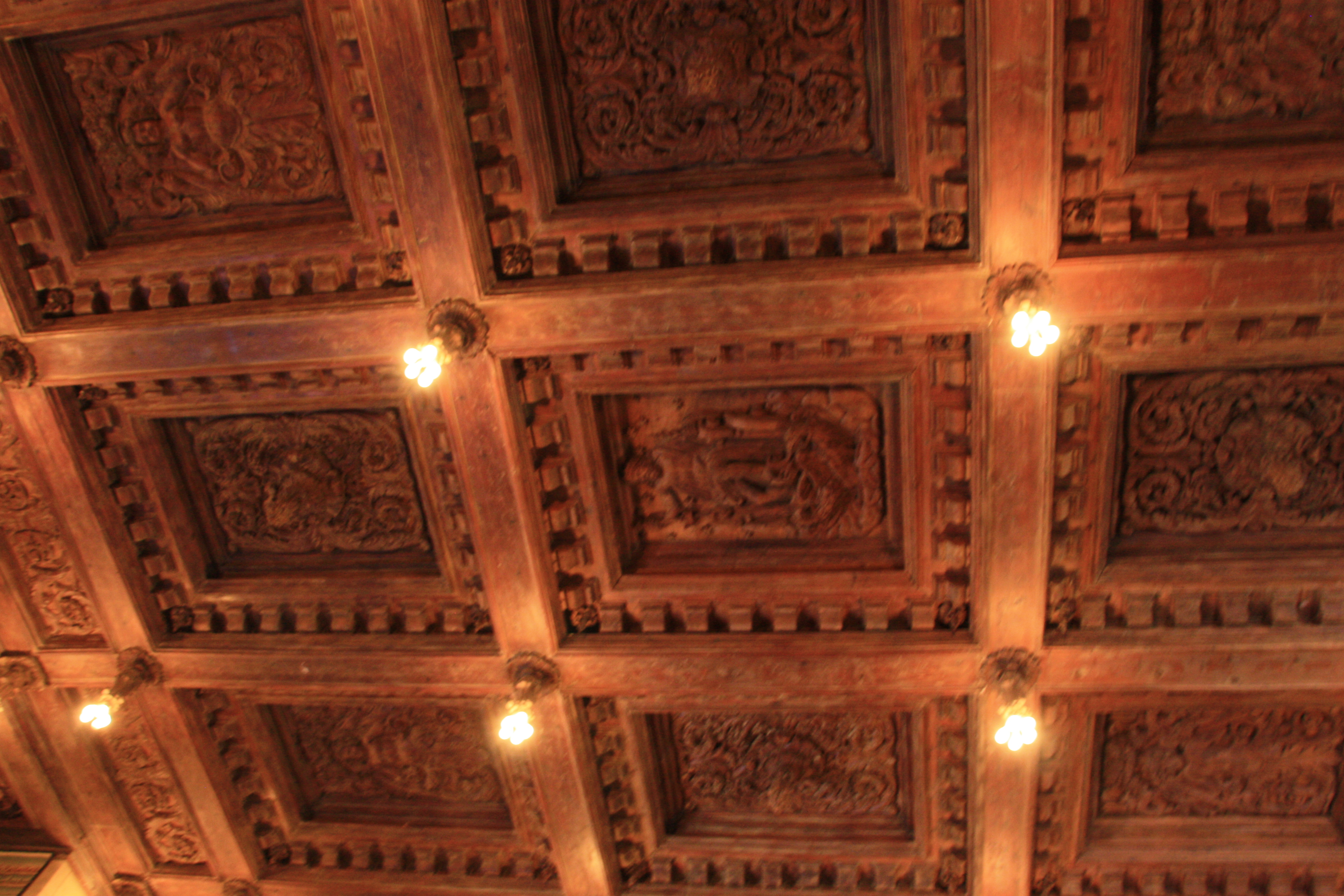 IMG_3413.JPG