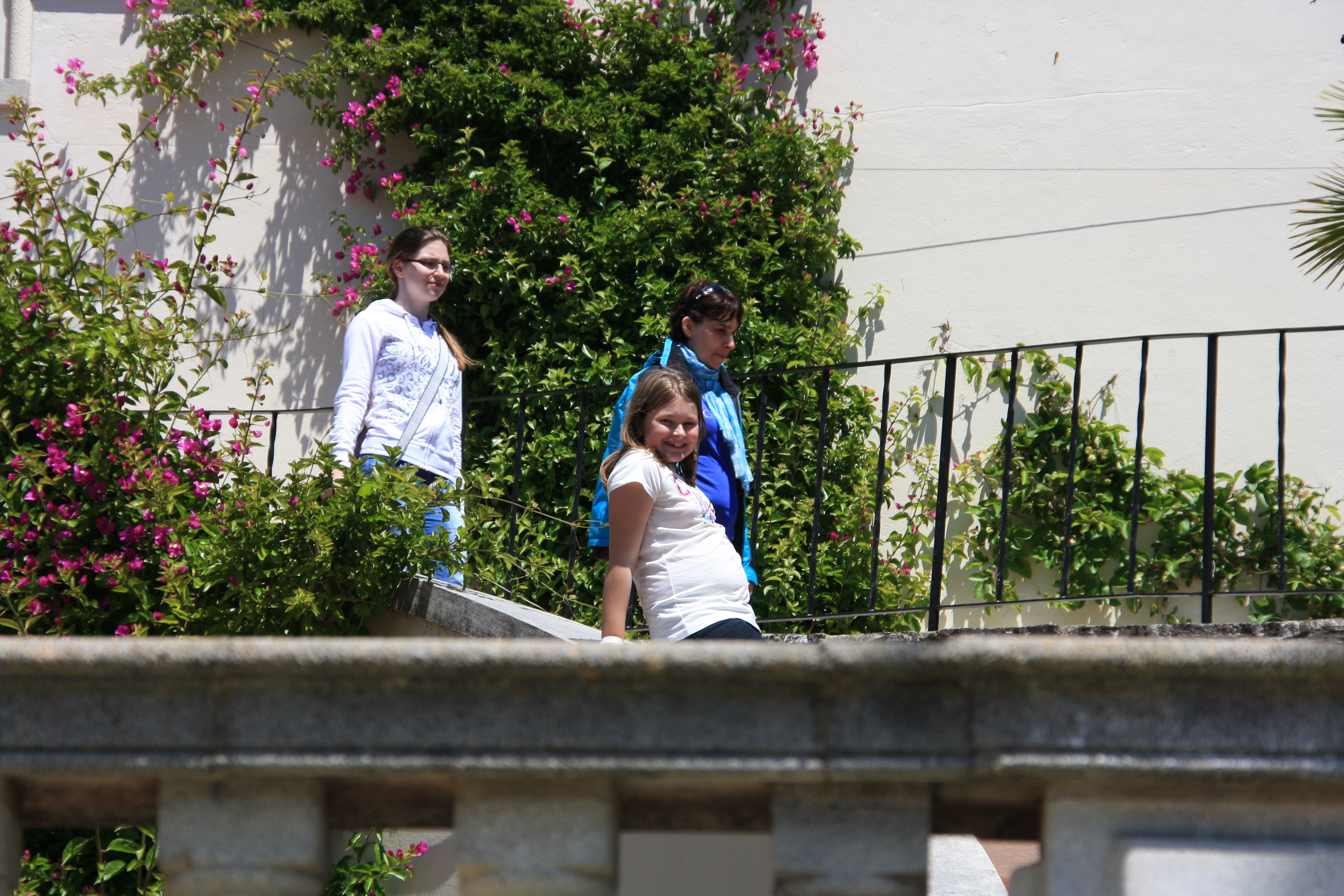 IMG_3654.JPG