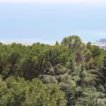 IMG_3683.JPG