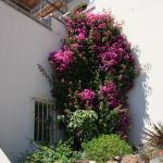 IMG_3699.JPG